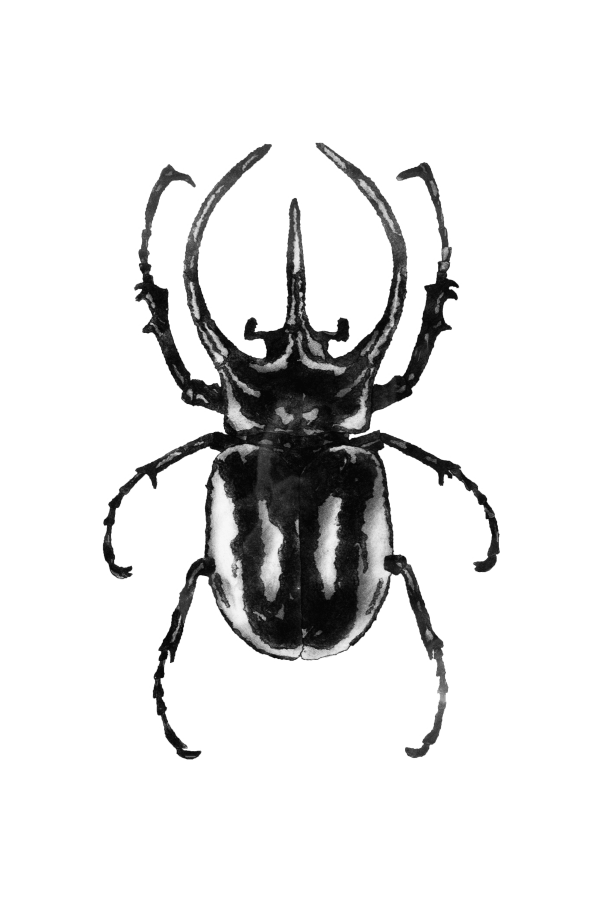 Study Resolute Series II