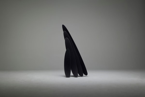 KIM Byoungho, A Section of the Garden-6T8S.MB1, 2025