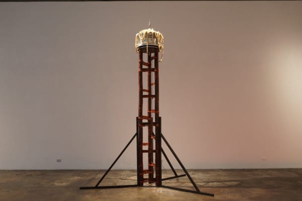 Leslie DE CHAVEZ, Buro (Fermented), 2018