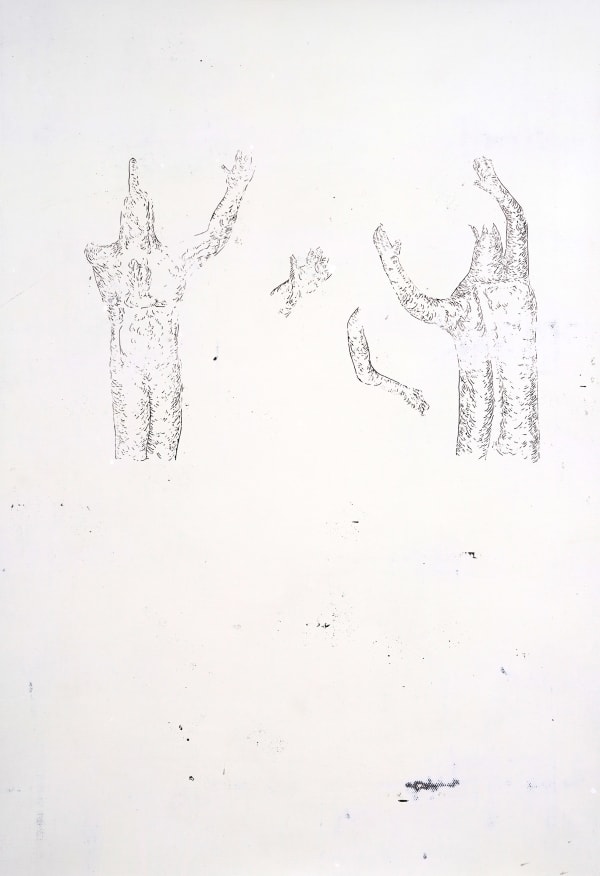 LIM Nosik, WD 36, 2024