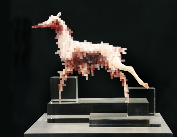 LEE Dongwook, Wolf attack, 2011