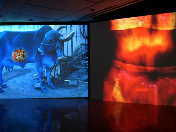 Nalini MALANI, Mother India - Transactions in the Construction of Pain, 2005
