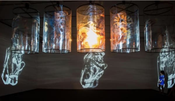 Nalini MALANI, In Search of Vanished Blood, 2012