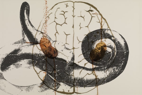 Nalini MALANI, Untitled, 2009