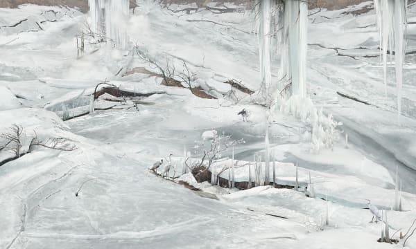 WON Seoung Won, The Ice Pillars of Government Officials, 2017