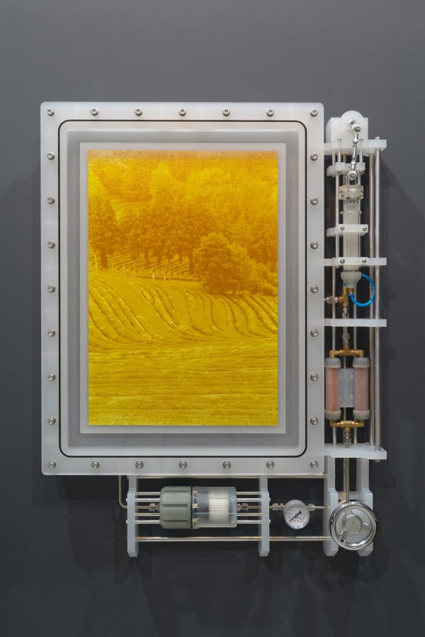 BEAK Jungki, is of Boseong Green Tea Field 2025-4 is of 보성녹차밭 2025-4, 2025