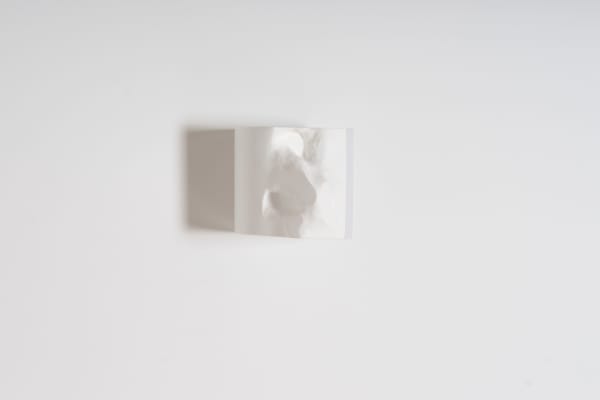 LEE Jeongbae, Torso-Divided, 2018