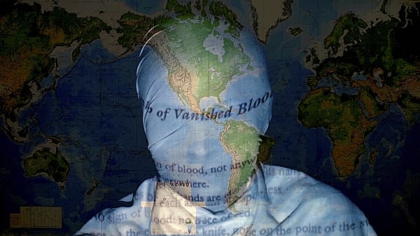 Nalini MALANI, In Search of Vanished Blood, 2012