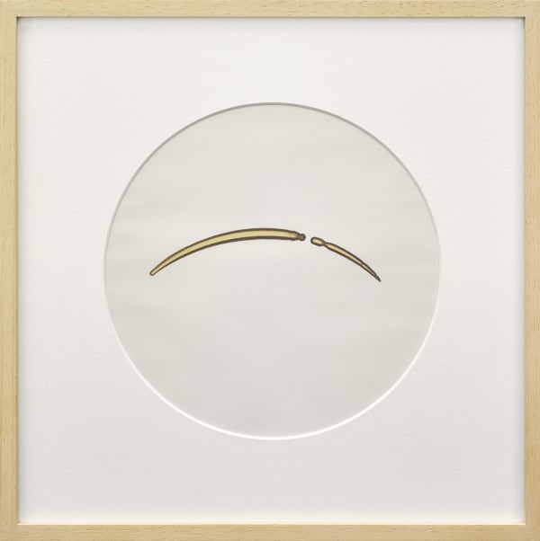 HAO Jingfang & WANG Lingjie, Sun Drawing (20140613), 2014