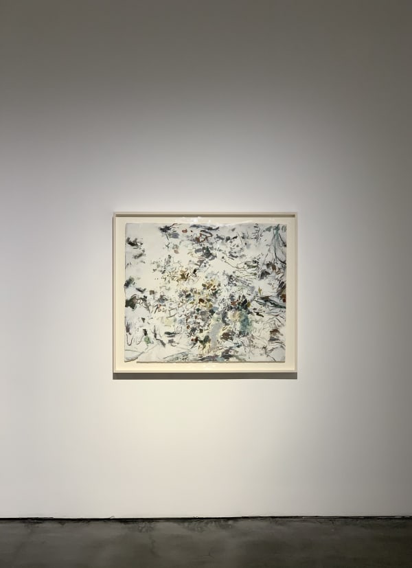 HUANG Yuanqing, 2017-2020-z-1, 2017-2020