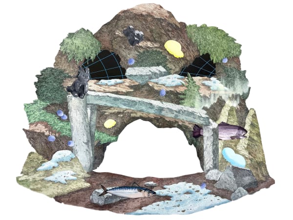LIM Subeom, Cave of Birth 탄생의 굴, 2022