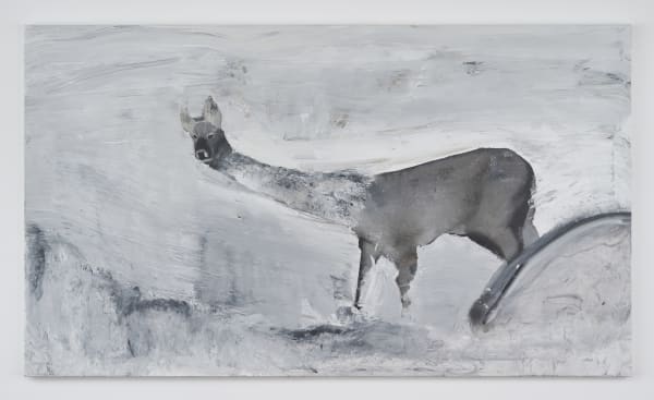 AHN Jisan, Snow Storm, the Water Deer, 2023