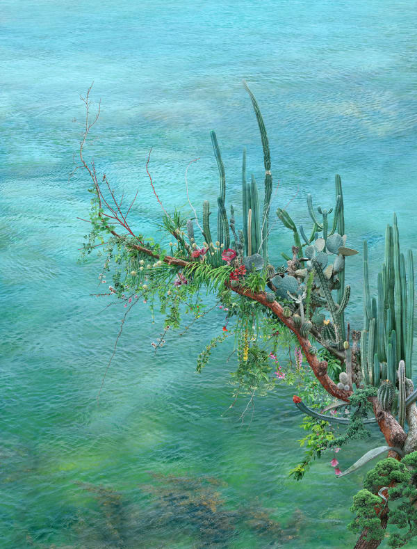 WON Seoung Won, Soft Thorns 부드러운 가시, 2023