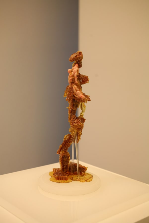 LEE Dongwook, Sweet Dream, 2012