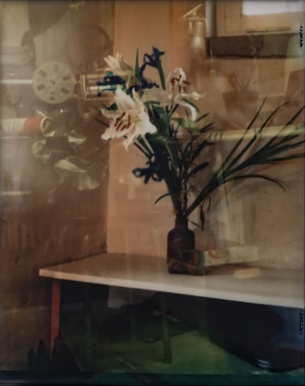 KIM Soun-Gui, Lis (Lily), 2006