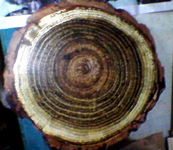 Tallur L.N., Graft 4 , 2012