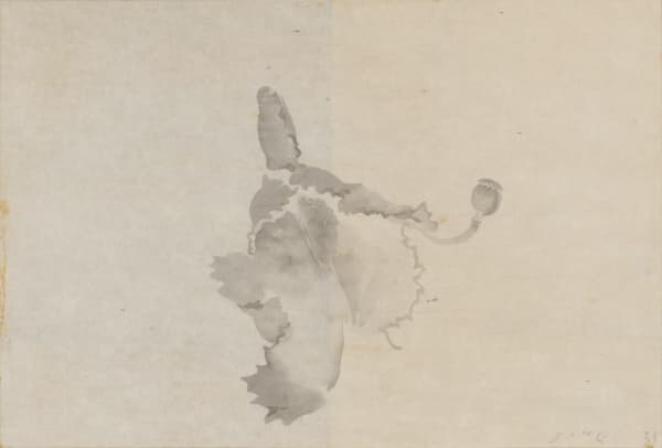 JING Shijian, Poppy 罂粟, 2019