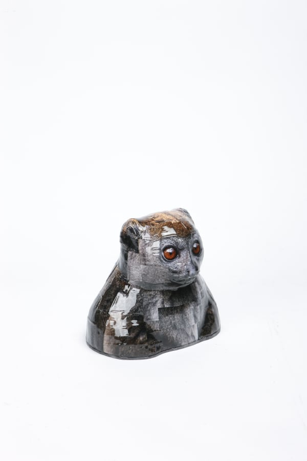 GWON Osang, Bust(Tarsier), 2016