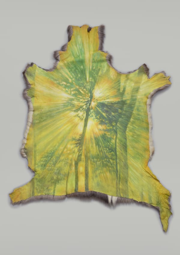 JANG Jongwan, 수상한 빛 | Weird Light, 2016