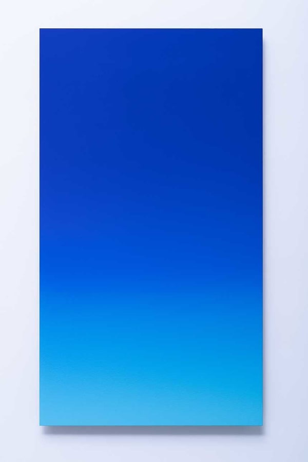Toru KAMIYA, Juvenile, 2019