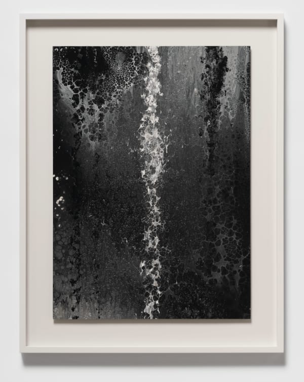 Kohei NAWA, Dune#59, 2022