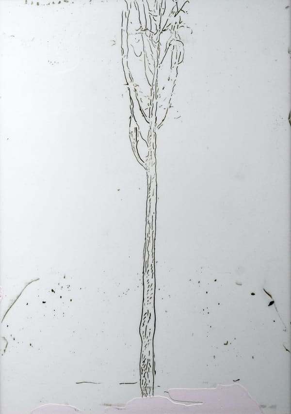 LIM Nosik, GL_15 가는 15, 2023