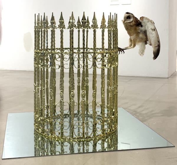 Zheng Huan , Gift, 2015
