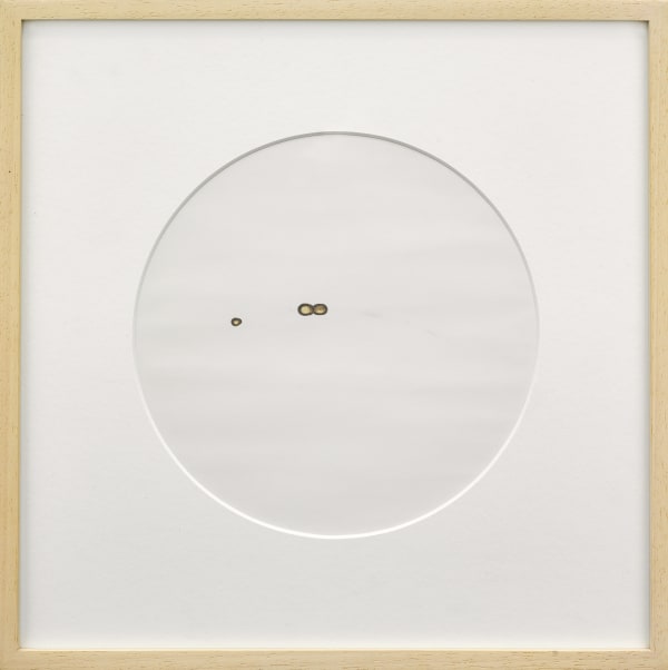 HAO Jingfang & WANG Lingjie, Sun Drawing (20140607), 2014