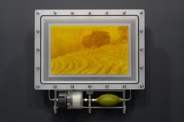 BEAK Jungki, is of Boseong Green Tea Field 2025-3 is of 보성녹차밭 2025-3, 2025