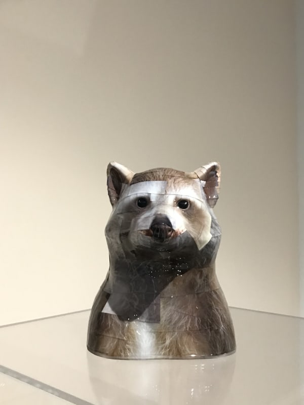 GWON Osang, Bust(White Lesser Panda), 2016