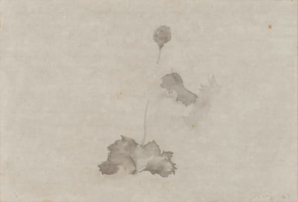 JING Shijian, Poppy 罂粟, 2019