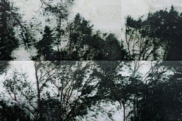 AN Gyungsu, A Windy Day 바람이 부는 풍경, 2019