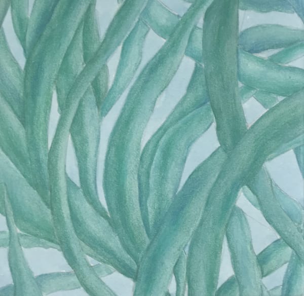 WON Seoung Won, Imagined Leaves 05, 2021