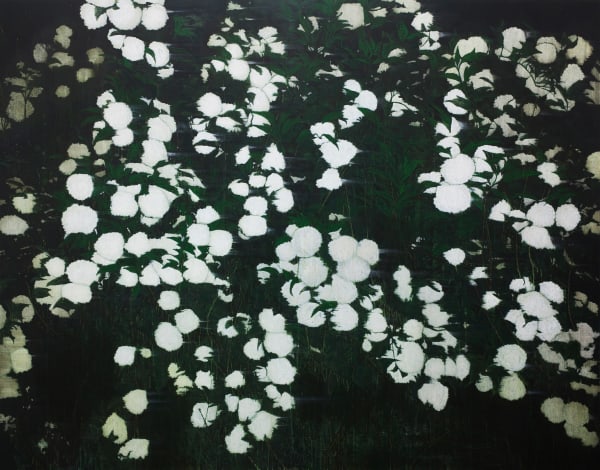 AN Gyungsu, Flower Night 밤꽃, 2014