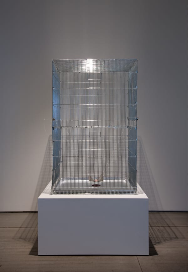 LEE Dongwook, Untitled, 2012