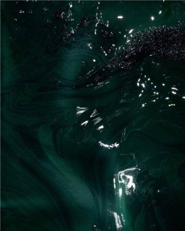 BYUN Soonchoel, Rules the Color, 2015