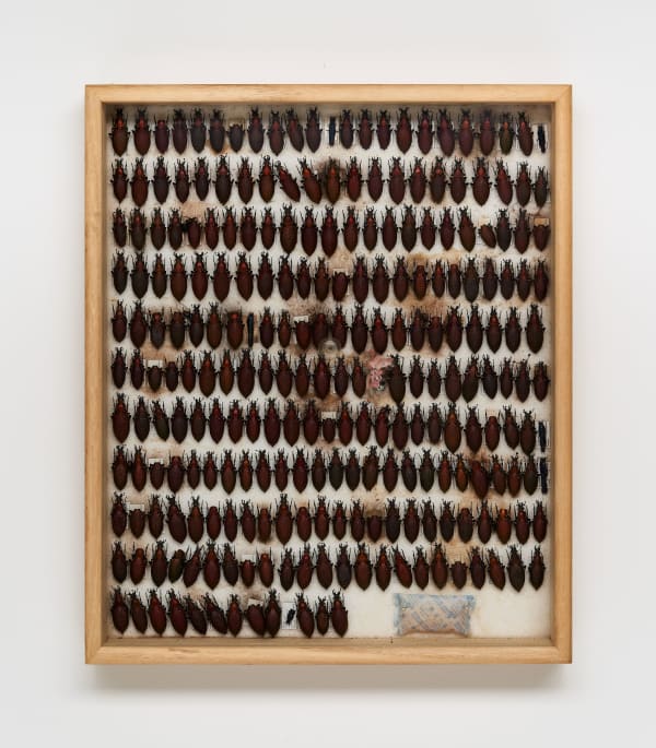 LEE Dongwook, Untitled 무제, 2024