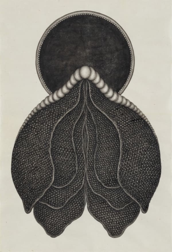 PARK Wunggyu, Dummy No.92, 2023