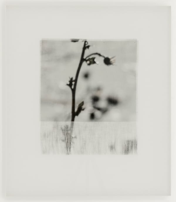 Cas Friese, Fragment no. 8881, 2023