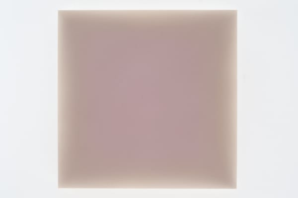 Gwen Hardie, 06.19.23, lavender on warm umber, 2023