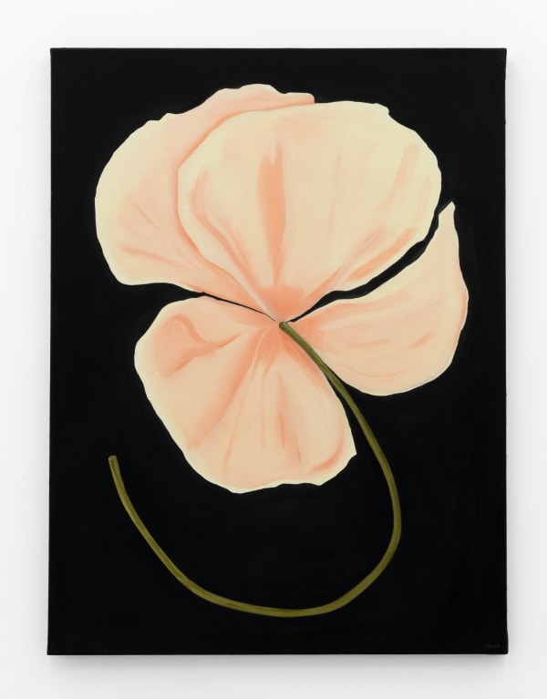 Ben Ewing, Eve, 2025