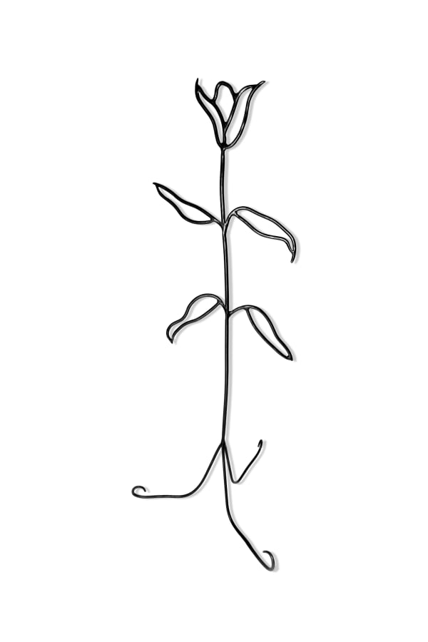 Lane Walkup, Warm Sun Pleasure, Pure and Simple!, 2025