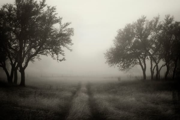 Rusty Yates, THE LIGHT BEYOND