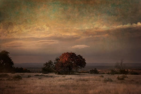 Rusty Yates, SCHNEIDER'S OVERLOOK