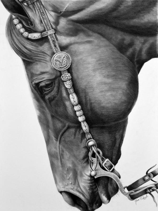 Maria D'Angelo, YELLOWSTONE