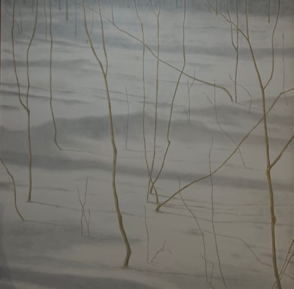 William "Lucky" Davis, WINTER WILLOWS