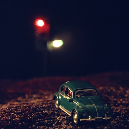 my sister’s fingers, beak-peckedmy brother’s brow, a crimson sliceyellow birdperhaps you fled through the window while I was sleeping