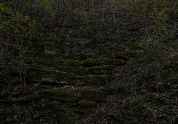 Jeanine Michna-Bales Devil's Backbone Lewis County. Tennessee, 2014 Archival Pigment Print 17 x 24 1/2 inches Edition of 9 (Edition record)