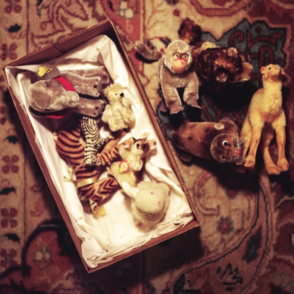Steiff Animals and Box