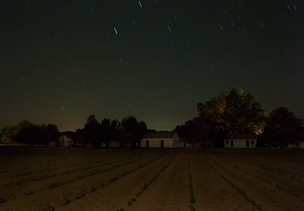 Jeanine Michna-Bales Stopover, Frogmore Plantation, Concordia Parish, Louisiana, 2014 Digital Chromogenic Print 25 x 36 inches Edition of 8